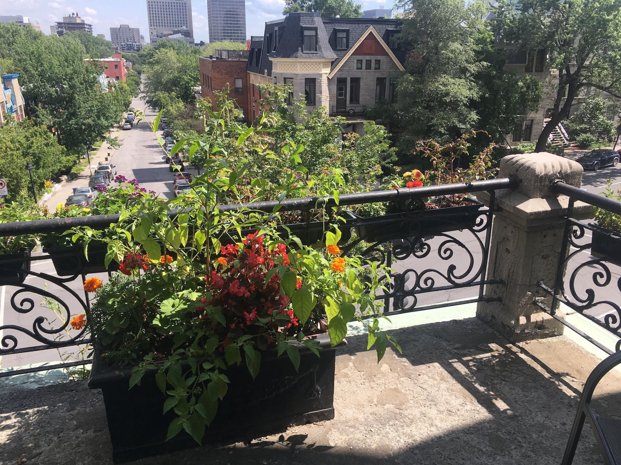 Hotel De Paris Montréal Dış mekan fotoğraf
